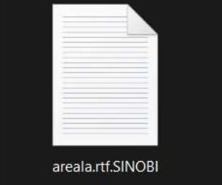 encrypted file